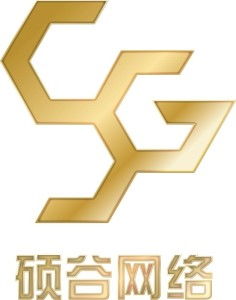 中山市碩谷網(wǎng)絡科技 引領數(shù)字化轉型的新興力量